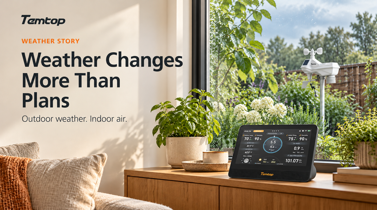 Weather Changes More Than Plans: Everyday Decisions from Weather Story