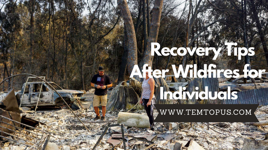 Recovery Tips After Wildfires for Individuals-Temtop