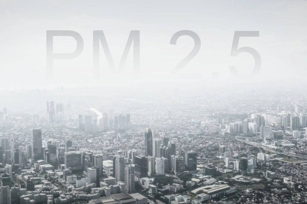 What’s in the Air You Breathe? A Look at Particulate Matter (PM) You Might Overlook!